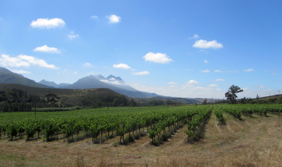 Commercial Property for Sale in Swellendam Rural Western Cape